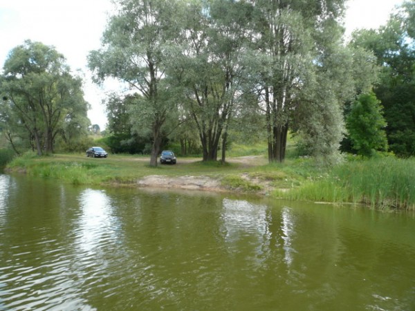 Пруд "Зелёный Гай" в Ковягах, мапа, риболовля