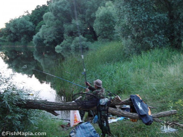 шаровка, map, fishing