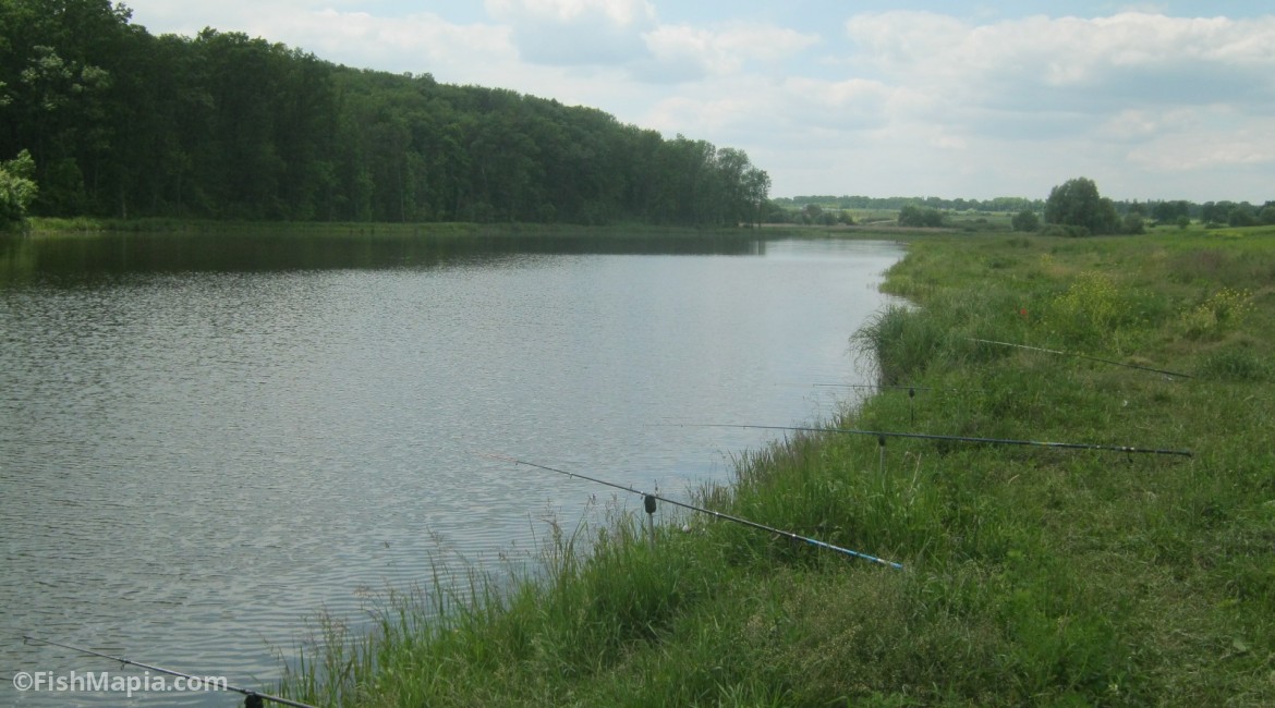 Карпивци, map, fishing