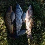 Рыбалка в Белогородке 15км от Киева, map, fishing