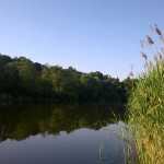 р.Рось, map, fishing