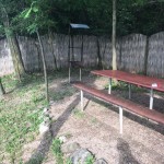 Старый пруд, мапа, риболовля