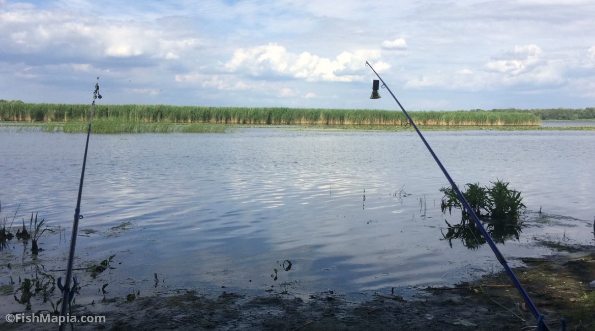 Лысогорка, map, fishing