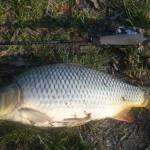 Клевое, map, fishing