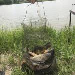 Рыболовный клуб Солтановка, map, fishing