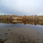 Село Приветное, мапа, риболовля