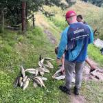 Броварки, map, fishing